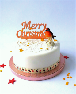 Christmas cake with robin red breast