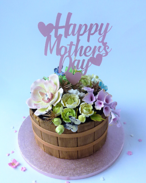 Mother's day flower tub novelty cake