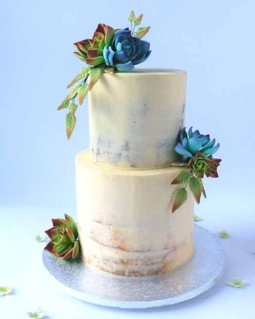 Tier Semi Naked Cake With Sugar Succulents Karen S Cakes